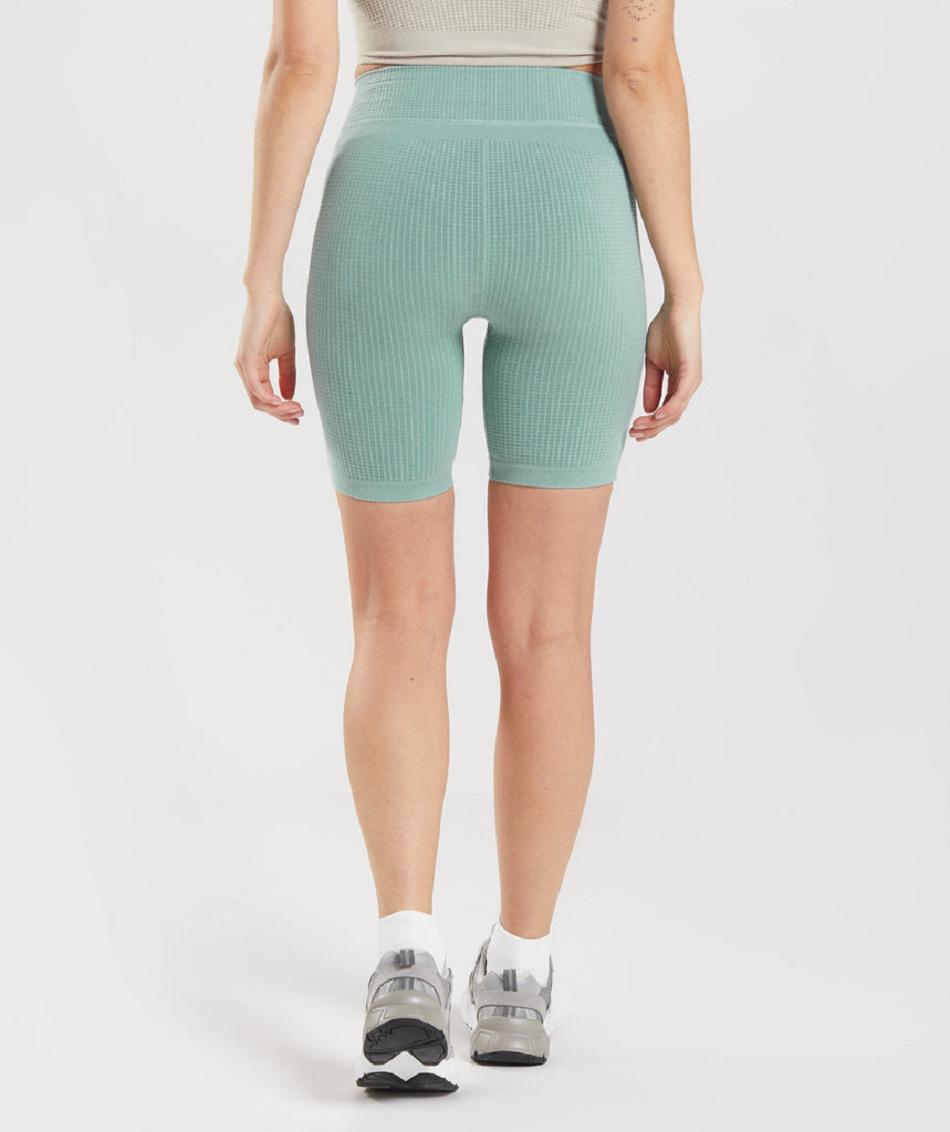 Szorty Damskie Gymshark Pause Seamless Cycling Niebieskie | PL 2417FDN